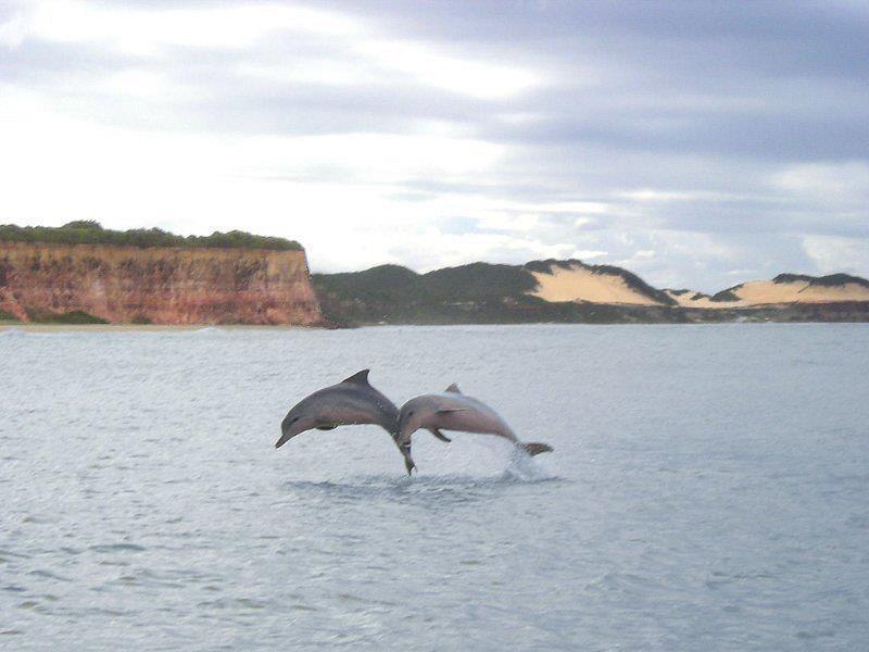 Pousada Da Pipa Praia de Pipa Eksteriør billede